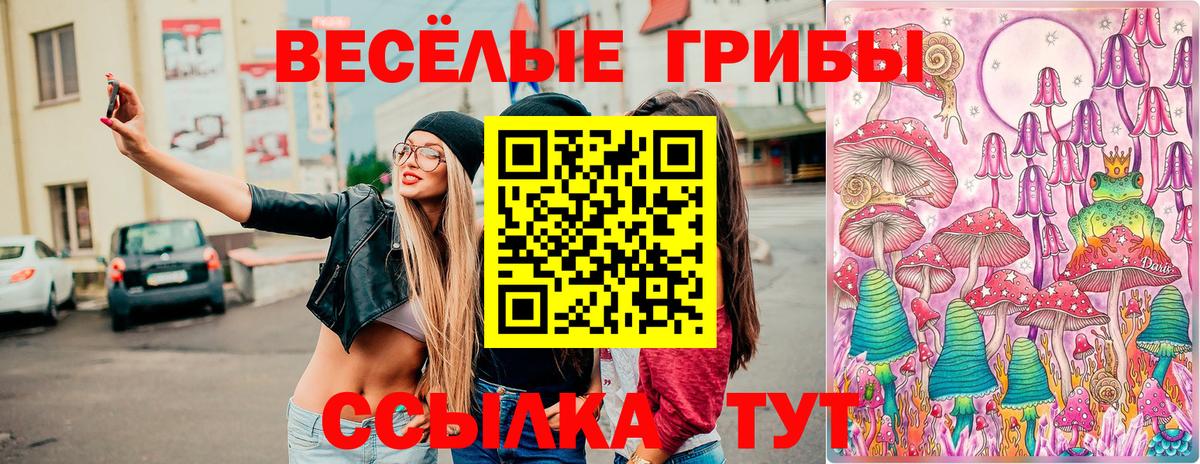купить наркотики сайты  Псилоцибиновые грибы Cubensis  Псилоцибиновые грибы GOLDEN TEACHER  Вход с VPN  Ипатово 